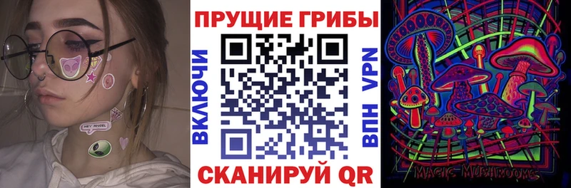 где продают наркотики  Очёр  блэк спрут рабочий сайт  Псилоцибиновые грибы GOLDEN TEACHER 